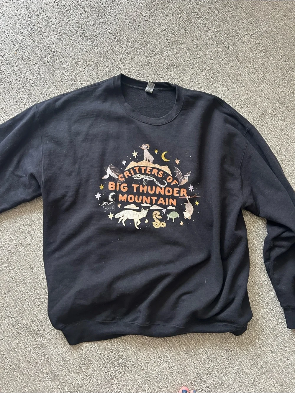 Disney parks big thunder mountain sweatshirt